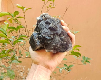 Campione di fluorite cubica viola scuro e blu da 1,76 kg di pietra preziosa naturale su campione di minerale vintage a matrice, decorazione per la casa