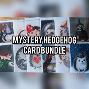 Mistero Hedgehog Card Bundle - Biglietto d'auguri, Riccio pigmeo africano, Natura, Animale, Fauna selvatica britannica, Carino, Divertente, Biglietto d'auguri, Casuale