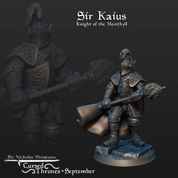 Sir Kaius Chevalier du Menithyll