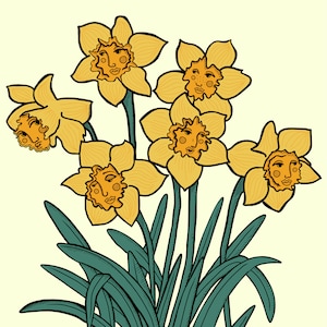 Daffodils
