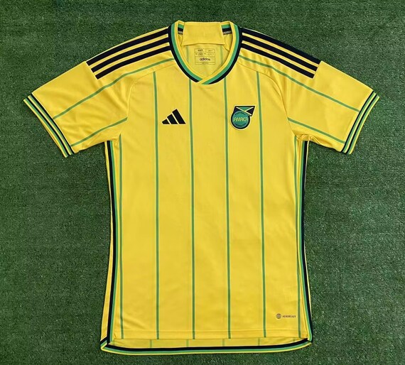 2023-2024 Kenya Home Concept Football Shirt