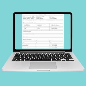 ABA-Daten-Tracker und Sitzungsnotizblätter für RBTs und BCBAs, Sitzungsnotizvorlage, ABC-Daten, Behavior-Daten-Tracker, bearbeitbar