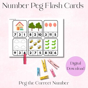 Number Peg Flash Cards, Early Math Learning (Digital Download)