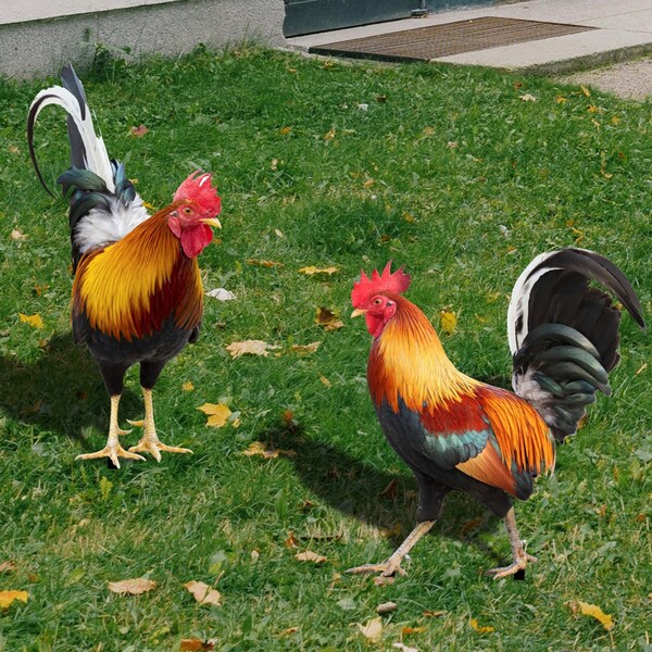 Rooster Yard Art Etsy