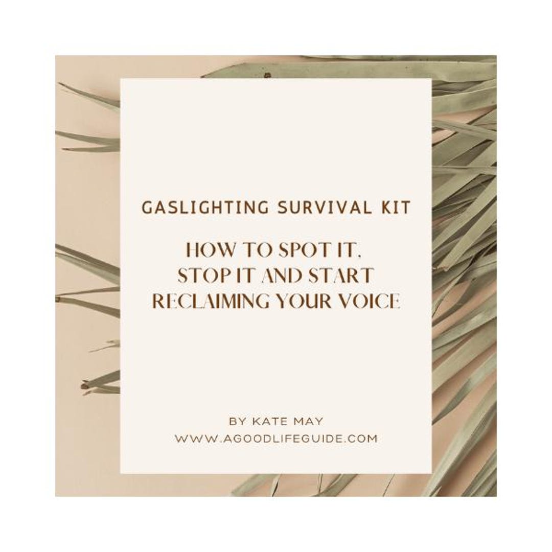 Gaslighting Survival Kit: How to Spot It, Stop It and Start Reclaiming ...