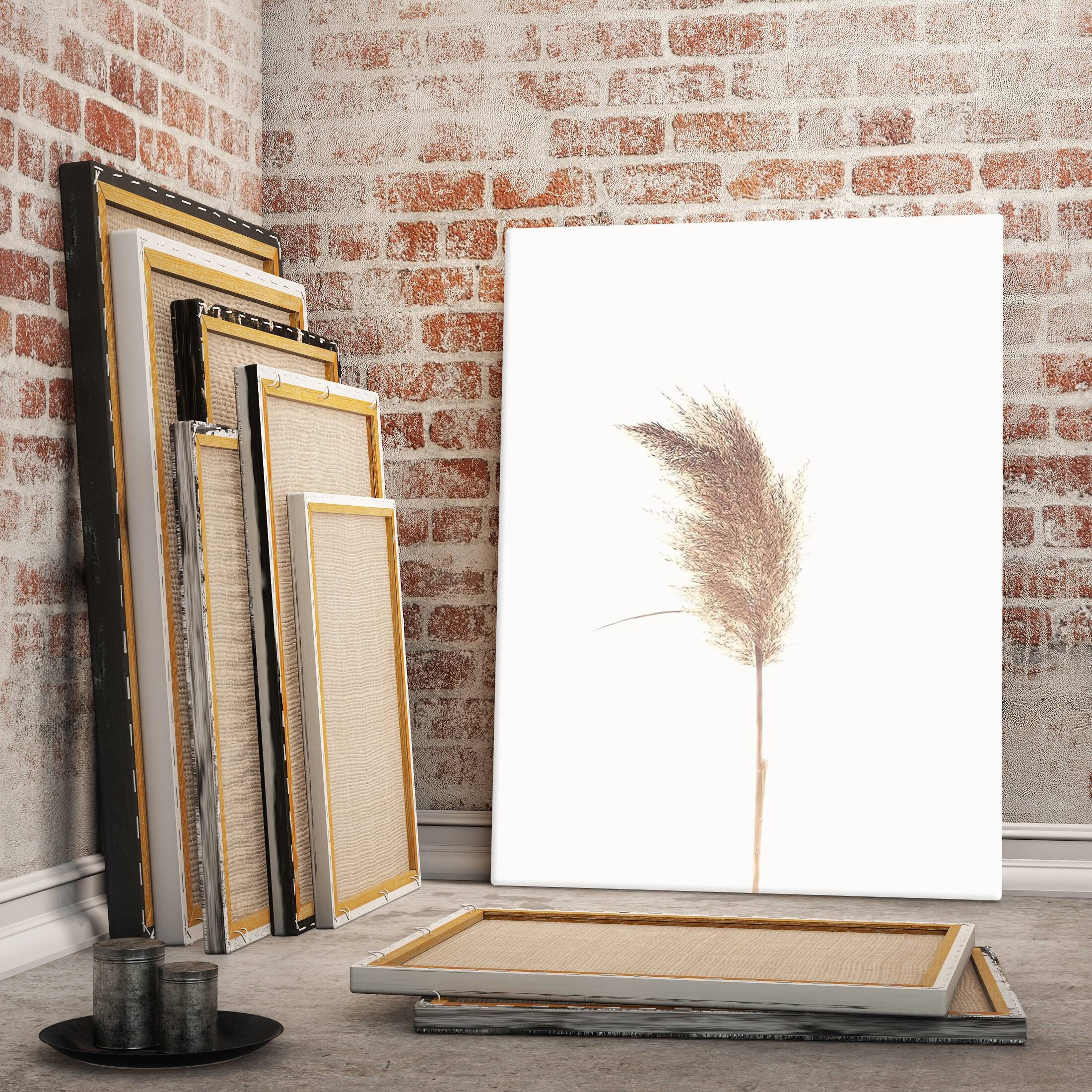 Canvas Painting Pampasgrass Brown Canvas on Stretcher Frame Pampas Grass  Mural Decorative Picture 70 Cm X 50 Cm 