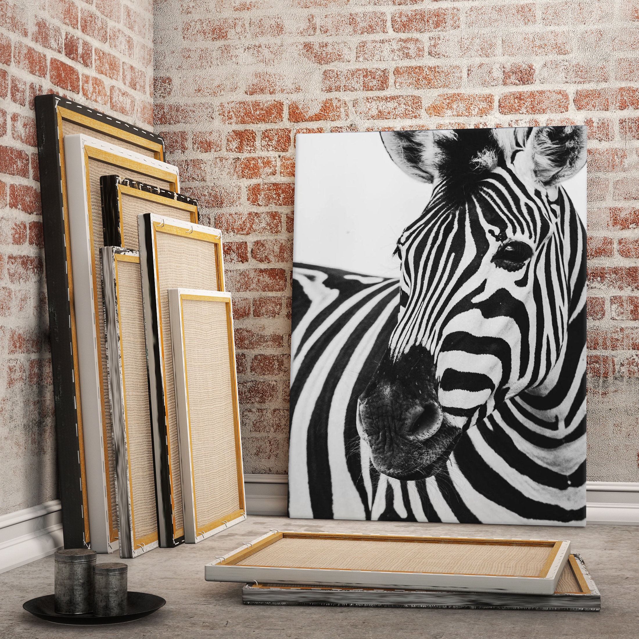 Zebra poster