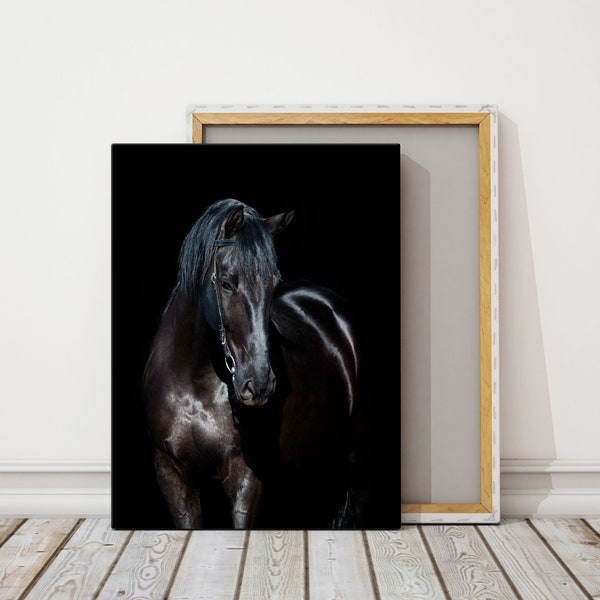 Peinture de cheval sombre, art de cheval noir, impression sur toile de cheval, art de toile de cheval, peinture de cheval, art animalier, peinture d’art mural sur toile