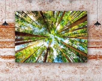 Forest Wall Art,Tree Print,Nature Canvas,Landscaping Decor,Woodland Art,Outdoor Scene,Botanical Print,Natural Beauty,Tranquil Forest