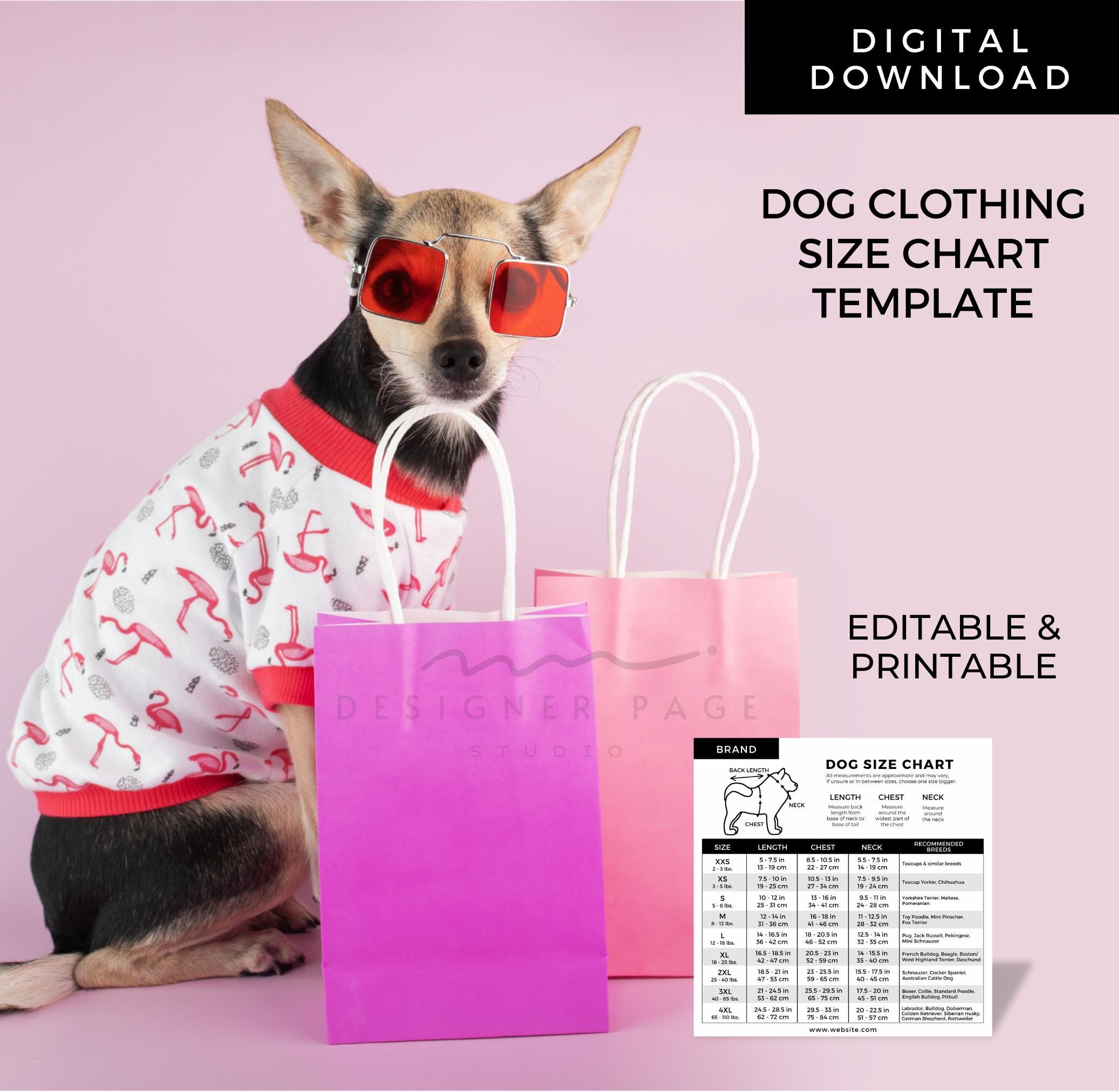 編集可能な犬服サイズ表テンプレートCanva、印刷可能な犬服サイズ