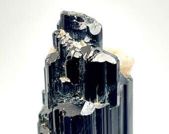 Schwarzer Turmalin Kristall mit Feldspat, Nordskardu Tal Pakistan