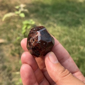 Puede incluir: Una gema facetada de color marrón rojizo oscuro con una estructura cristalina. La gema se sostiene en una mano sobre un fondo borroso de hierba verde y follaje. La piedra tiene una superficie pulida y reflectante.