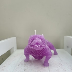 Lavender XL American bully candle
