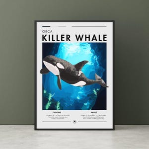 Orca Killer whale Wall art, Orca poster, Ocean Art, Marine life poster, Sea creature poster, Killer whale wall art, Apex Predator wall art