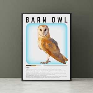 Arte de pared de lechuza común: impresión de lechuza común, identificación de aves, póster de aves de caza, impresión de observación de aves, impresión de aves para el aula.
