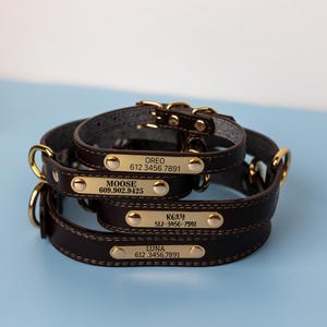 Personalized Dog Collar, Engraved Dog Collar, Custom Dog Collar with Name Plate, Brown Dog Collar, Gifts for pets