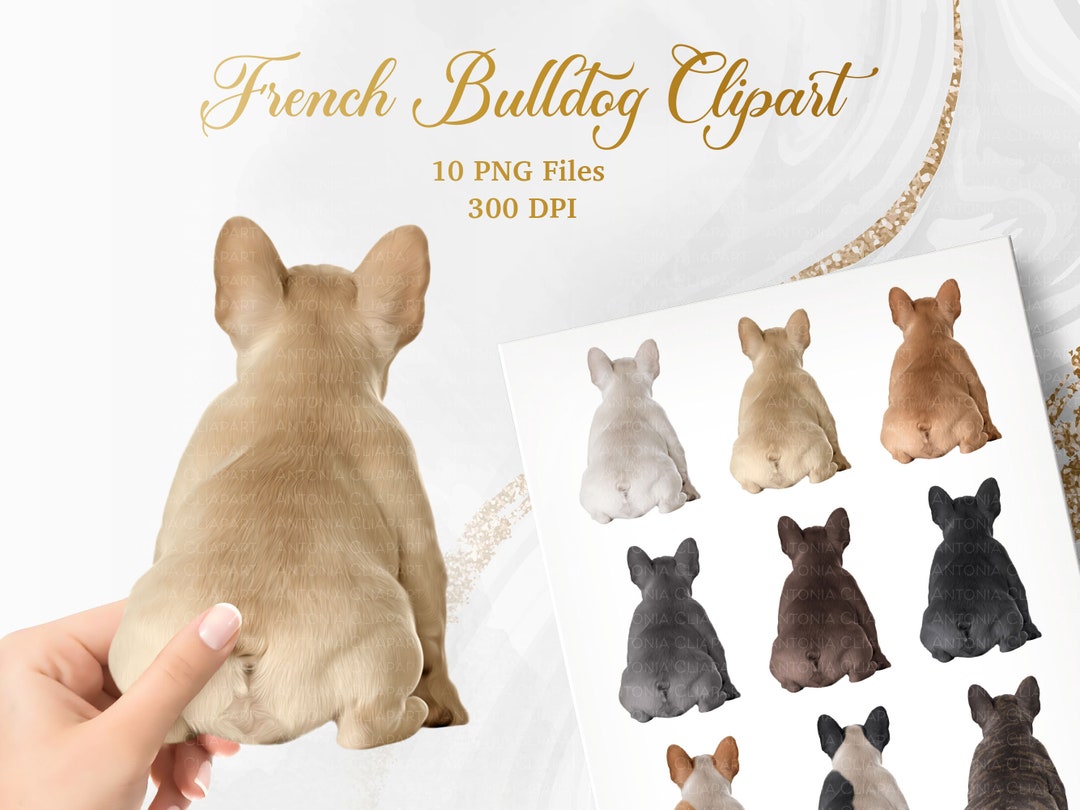 French Bulldog Clipart, Back View Dog Breeds Clipart, Frenchie Mom Clip