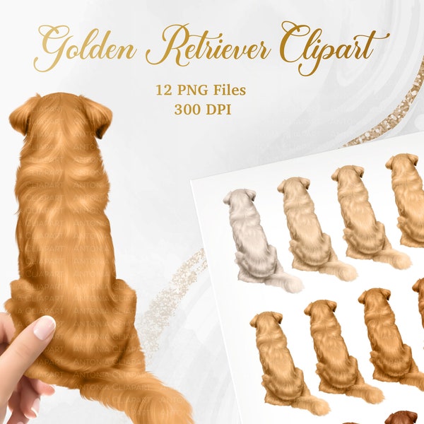 Golden Retriever Clipart, Golden Retriever PNG, Back View Dog Breeds Clip Art, White, Cream, Red, Dark and Light Colden Retriever Clip Art