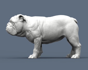Beeldje Engelse Bulldog – 3D-geprint hondenstandbeeld (4)