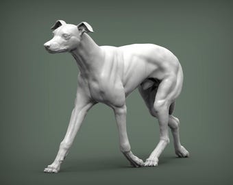 ミニチュアグレイハウンド犬の像/模型。1:6スケール（バービーと互換性