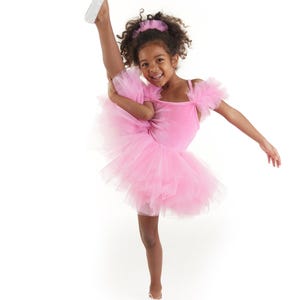 Pink Ballerina Dress, Girls&#39; Tutu Dress, Ballet Dress, Ballerina Costume, Dance Tutu Dress, Birthday Party Dress, Halloween Costume