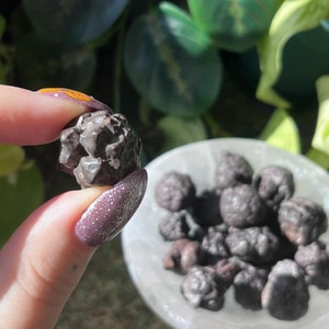 May include: A collection of small, dark brown, textured, spherical mineral nodules. One individual nodule is held up, showcasing its irregular, bumpy surface and deep brown coloration. The remaining nodules are clustered together in a translucent bowl.