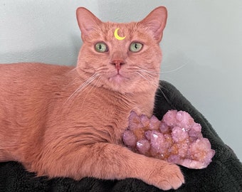 May include: A peach-colored cat with green eyes and a gold crescent moon sticker on its forehead. The cat is resting on a dark green surface and holding a cluster of purple crystals.