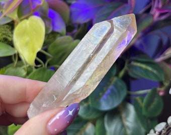 Natural Citrine Twin Flame Crystal Point - C