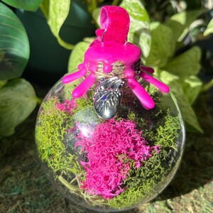 May include: A clear spherical glass bauble filled with vibrant green and bright pink preserved moss. The top is sealed with hot pink wax drips and features a silver-toned anatomical heart charm hanging from a matching pink velvet ribbon loop.