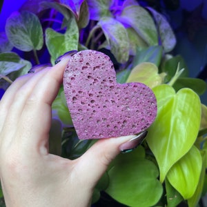 Peut inclure: Une éponge rose en forme de cœur avec une surface texturée.