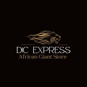 Dry Crayfish| African Crayfish