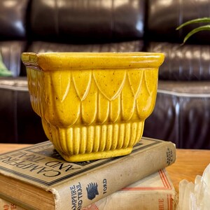 May include: A square mustard yellow ceramic planter with a scalloped upper rim and vertical ribbed detailing on the lower section, resting on top of two stacked vintage hardcover books next to a clear, jagged quartz crystal cluster.