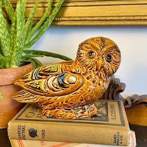 May include: A glossy brown ceramic owl figurine with textured feather details, perched atop two stacked vintage hardcover books. The top book is titled Campfire and Trail by R. Clyde Ford, and the bottom book is titled Two Bad Blue Eyes.