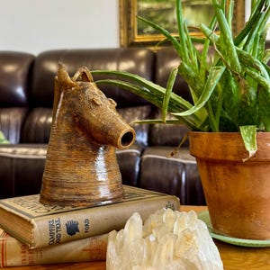 May include: A brown glazed ceramic horse head sculpture sits atop two stacked vintage books, Campfire and Trail by Ford, next to a cluster of clear quartz crystals and a green aloe plant in a terracotta pot on a wooden surface.