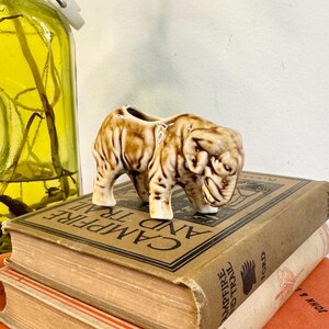 May include: A small, ceramic elephant figurine in shades of brown and tan, with a small opening on its back. The elephant is perched atop a stack of vintage books with worn covers. A green glass bottle is visible in the background.