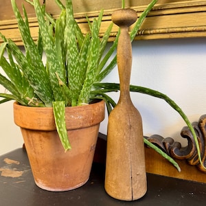 May include: A wooden kitchen tool with a rounded top and a flared base stands next to a potted aloe vera plant. The tool is light brown and appears to be handmade. A painting with red flowers hangs in the background.
