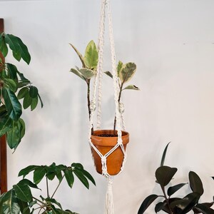 May include: A hanging macrame plant holder with a terracotta pot containing a plant with green and cream-colored leaves. The macrame is white and has a tassel at the bottom. The plant holder is suspended from a gold ring.