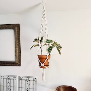 May include: A hanging macrame plant holder with a terracotta pot containing a plant with green and white variegated leaves. The macrame is white and hangs from a gold ring. The plant holder is suspended in front of a white wall.