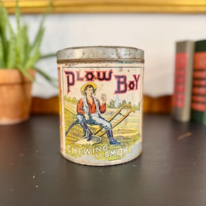 plant tobacco seeds Harvesting Tobacco Seeds « Toolmaking Art plant tobacco seeds Harvesting Tobacco Seeds « Toolmaking Art