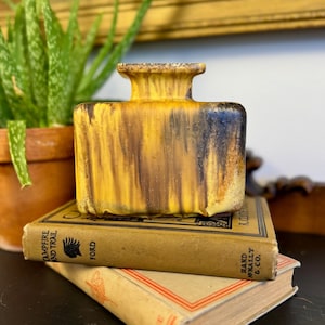 May include: A rectangular ceramic vase with a yellow, brown, and black glaze. The vase sits atop two vintage books with gold lettering. A potted aloe plant is in the background.