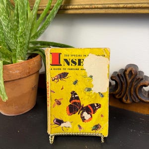 May include: A set of three ceramic mugs with a speckled, matte finish. The mugs are in shades of cream, light gray, and dark gray. Each mug has a simple, minimalist design, perfect for coffee or tea. The mugs are approximately 4 inches tall.