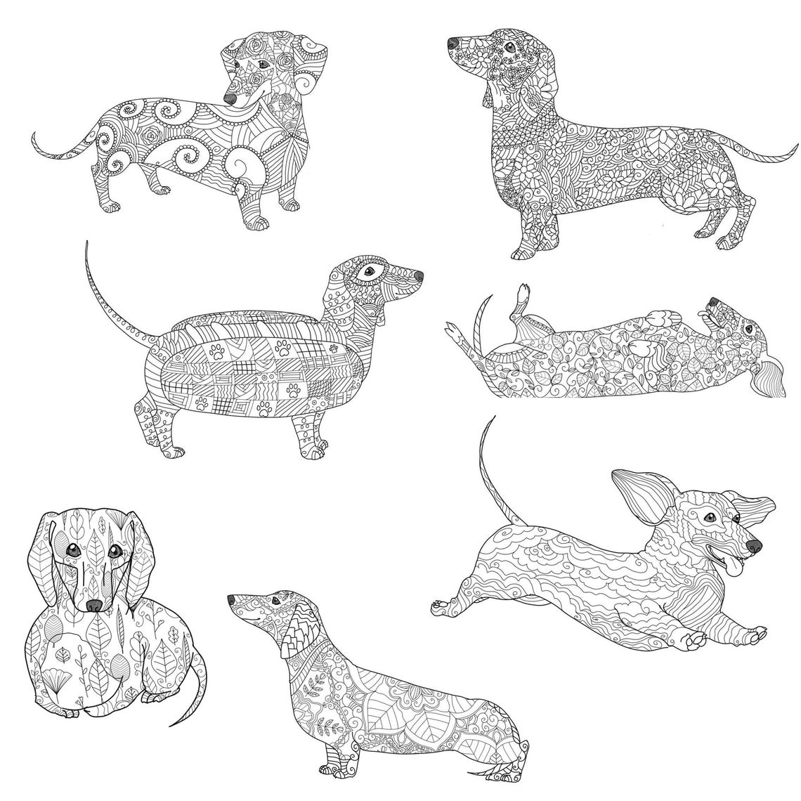 Dachshunds, Printable Coloring Pages for Adults, Printable Instant ...
