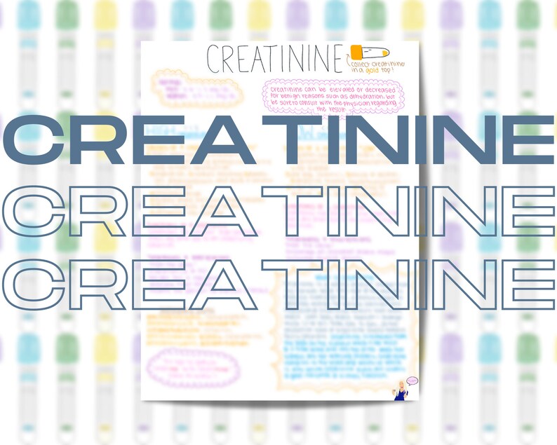Creatinine Renal Function Instant Download Printable Nursing Phlebotomy ...