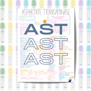 Aspartate Transaminase AST Téléchargement instantané Imprimable Soins infirmiers Phlébotomie Panneau métabolique de base Chimie du sang Électrolyte Notes manuscrites