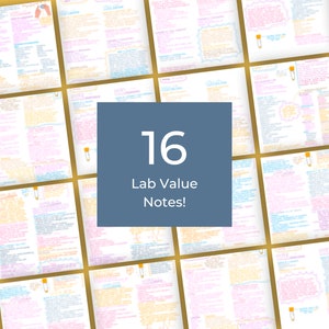 Lab Values Bundle BMP Téléchargement instantané Imprimable Nursing Phlebotomy Basic Metabolic Panel Blood Chemistry Electrolyte Handwritten Notes