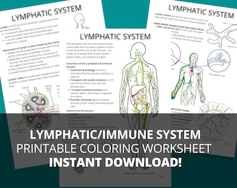 Lymphatic Immune System Study Guide (Printable PDF)