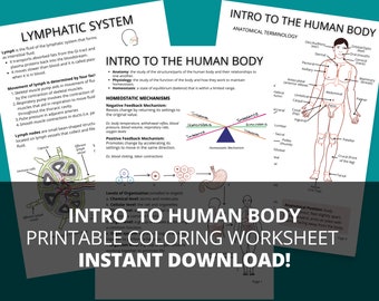 Intro to Human Body Anatomy Study Guide  (Printable PDF)