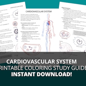 Cardiovascular System Anatomy Study Guide (Printable PDF)