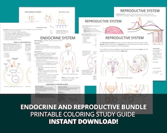Endocrine & Reproductive System Study Bundle (Printable PDF)