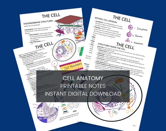 Könnte beinhalten: Druckbare Notizen zur Zellanatomie mit bunten Illustrationen und Diagrammen. Die Notizen behandeln Themen wie Zellstrukturen, Mitose und Zellteilung. Der Titel "Cell Anatomy Printable Notes" wird in Fettschrift mit den Worten "Sofortiger digitaler Download" darunter angezeigt.